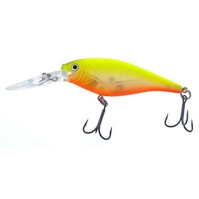 Flicker Shad