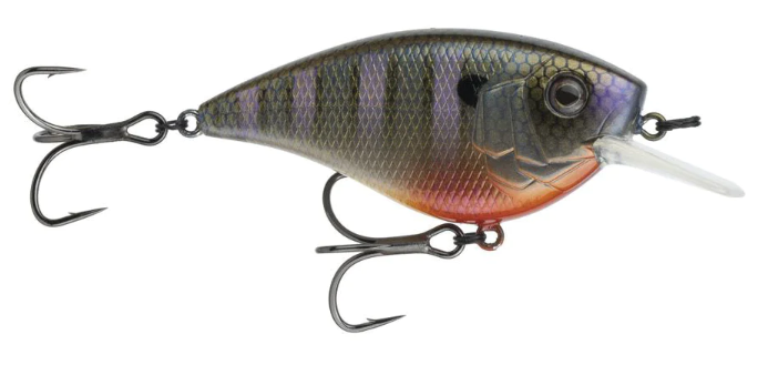6th Crush Flat 75X - Bluegill Spawn