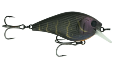 6th #1 Sense Crush 50x 4k Crawfish