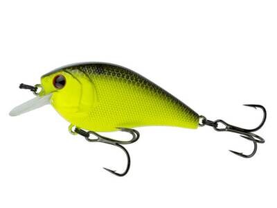 6th Sense Crush - Chartreuse Black Back 50X - Faint Rattle