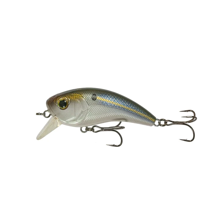 6th Sense Movement 80X - Threadfin Shad