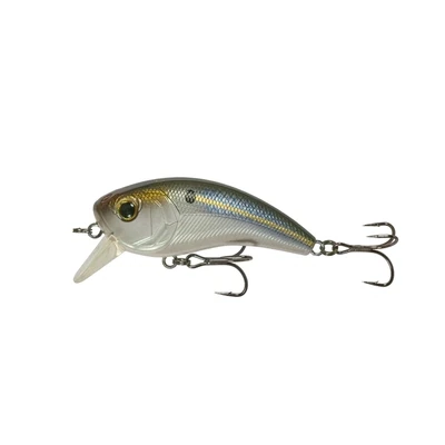 6th Sense Movement 80X - Threadfin Shad