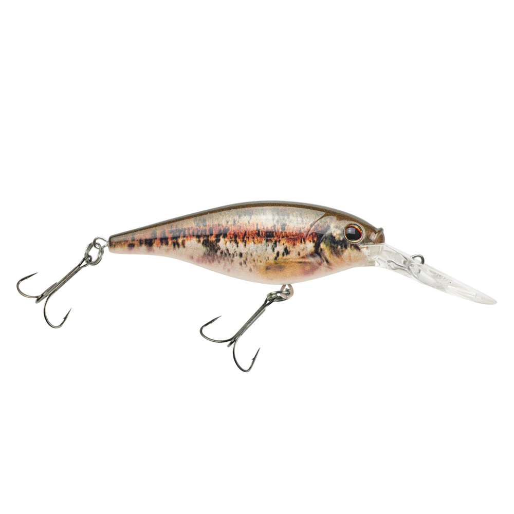 Berkley FFSH5M-HDBND Flicker Shad 5 HD BN Dace