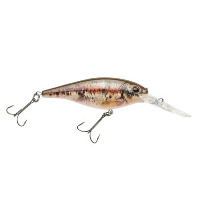 Berkley FFSH5M-HDBND Flicker Shad 5 HD BN Dace