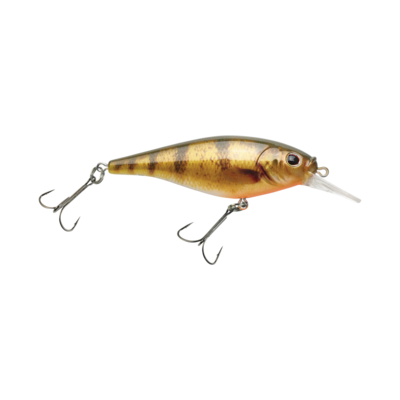 Berkley FFSH5S-HDYLP Flicker Shad Shallow 5 HD Yellow Perch