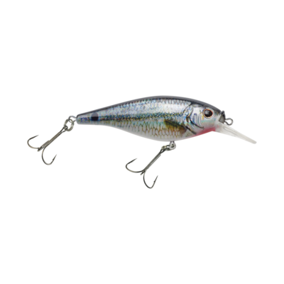 Berkley FFSH5S-HDSTS Flicker Shad Shallow Spottail Shiner