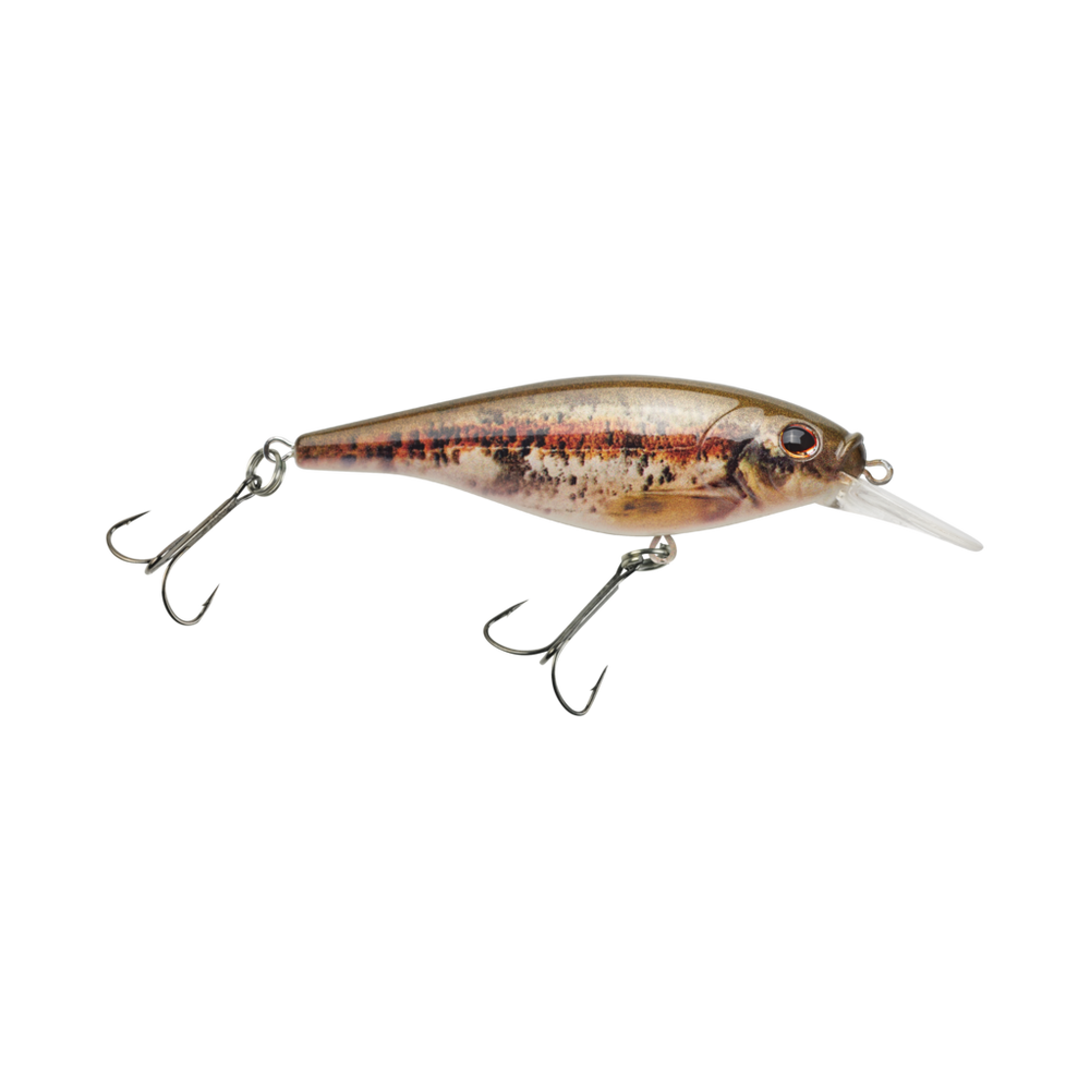 Berkley FFSH7M-HDBND Flicker Shad 7 Black Nose Dace