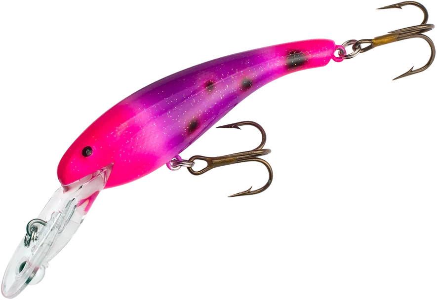Cotton Cordell CD5579 Wally Diver 2 1/2 in, 1/4 oz, Purple Salamander