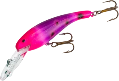 Cotton Cordell CD5579 Wally Diver 2 1/2 in, 1/4 oz, Purple Salamander