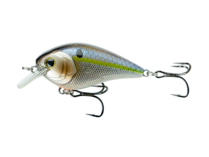 Crush Mini 25X - Custom Bluegill