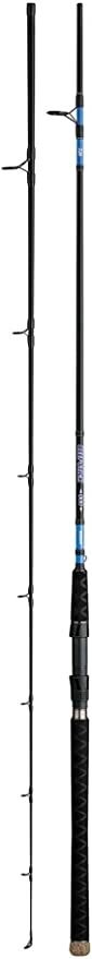 Daiwa BSS902MHS Beefstick SW Series Rod, 9&#39; 2pc, Medium Heavy Action
