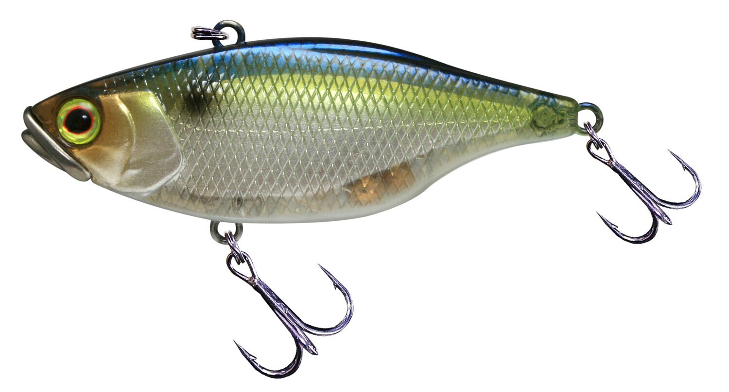 Jackall TN50 SG THREADFIN SHAD