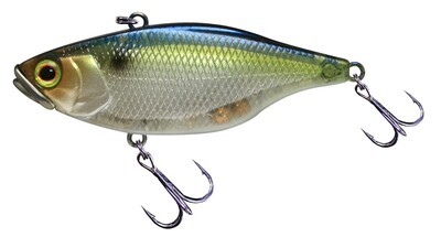 Jackall TN50 SG THREADFIN SHAD