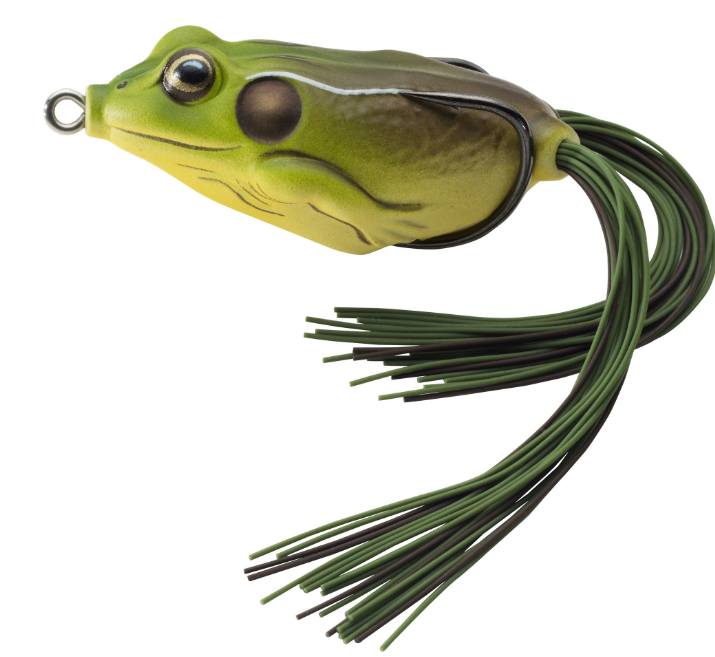 LiveTarget FGH65T508 Frog Hollow Body Topwater Lure, 2 5/8", 2/0