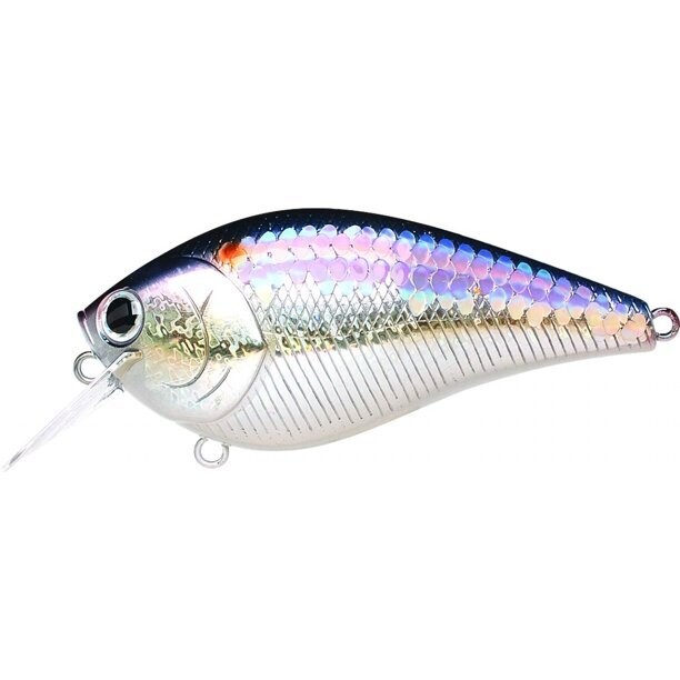Lucky Craft LC2.5 MS American Shad 