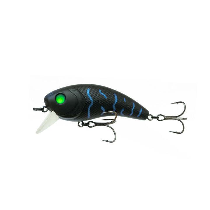Movement 80X - Bluegill Spawn
