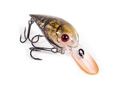 ProFound Outdoors Azuma Brian Snowden Boss Hawg Purple Passion