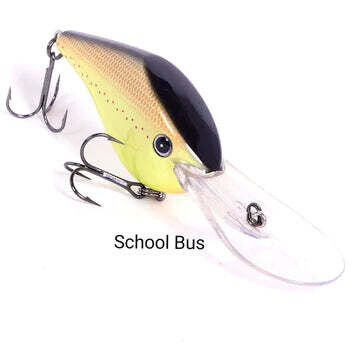 ProFound Outdoors Z Boss 22 School Bus