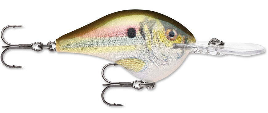 Rapala DT 8 Live River Shad
