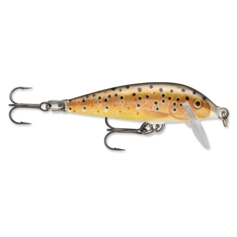 Rapala CD09TR CountDown Lure, 3 1/2&quot;, 7/16 oz, Brown Trout, Sinking