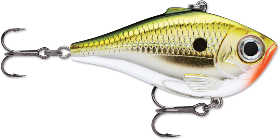 Rapala RPR06GCH Rippin&#39; Rap Lipless Crankbait, 2 1/2&quot;, 1/2 oz, Gold