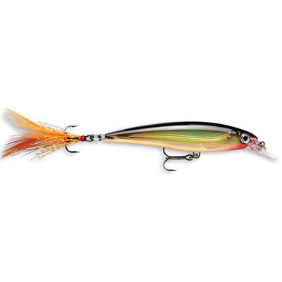 Rapala XR06G X-Rap Jerkbait, 2 1/2&quot; 1/8 oz, Gold, Suspending