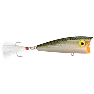 Rebel P6048 Pop-R Topwater Bait, 2 1/2", 1/4 oz, Tennessee Shad