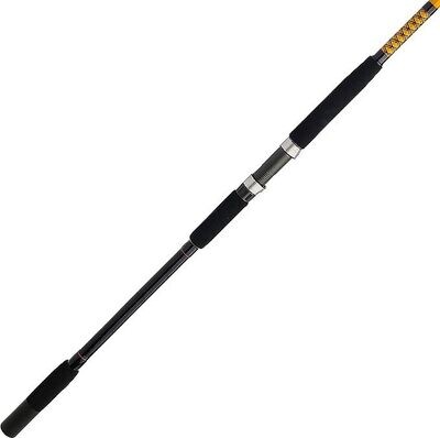 Shakespeare BWSF2040S122 Ugly Stik BW Spin Surf New Cosmetics, UGLY TUFF SS Guides