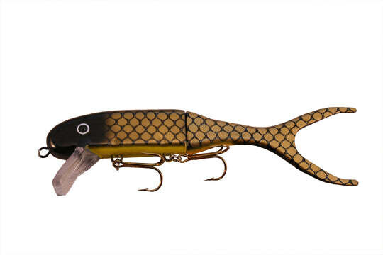 Shallow Invader Reflex Golden Sucker