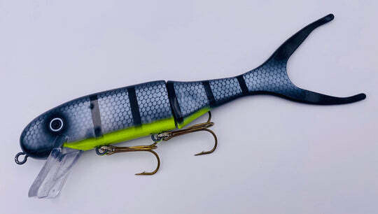 Shallow Invader Black Sucker