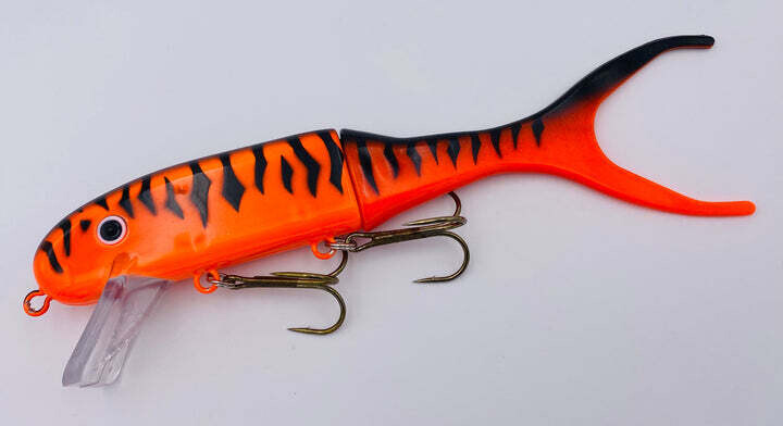 Shallow Invader Orange Tiger
