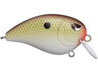 Spro Baby Fat John 50 3/8oz Honey Shad