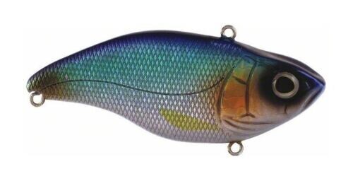 Spro SAS75BSR Aruku Shad 75 3&quot; 5/8 oz Blue Shiner