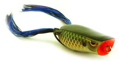 Spro Bronzeye Popper 60 Killer Gill - 4556