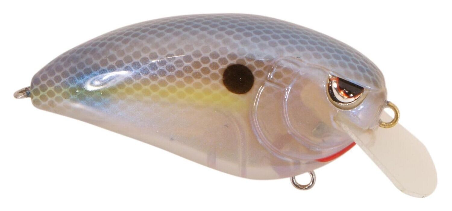 Spro SFJ60SPN John Crews Fat John 60 Crankbait, 2 3/8&quot;, 5/8 oz