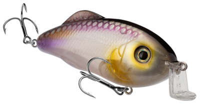 Strike King HCHH-684 Hybrid Hunter CB Clearwater Minnow	