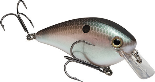 Strike King HCKVDS2.5-568 Pro Model KVD 2.5 Square Bill Silent