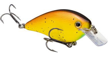 Strike King HCKVDSD-467 KVD Sexy Dawg , Bully