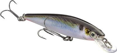 Strike King Splash Natural Shad PopperJr -5104