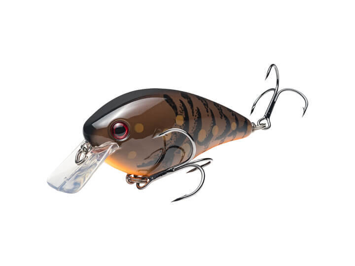 Strike King KVD Square 1.0  Bully