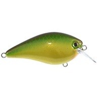 Strike King KVD Square 1.5  MM Caramel Apple Shiner