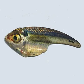 Ledge Hog 3" Custom Blade Bait JB5