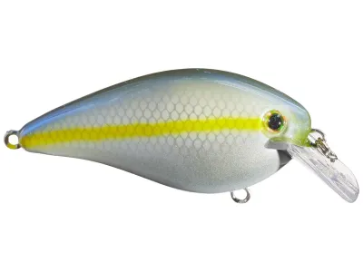 Strike King KVD Pro Model KVD 1.5 Square Bill Silent Crankbait, 3", 7/16 oz, Sexy Blueback Herring