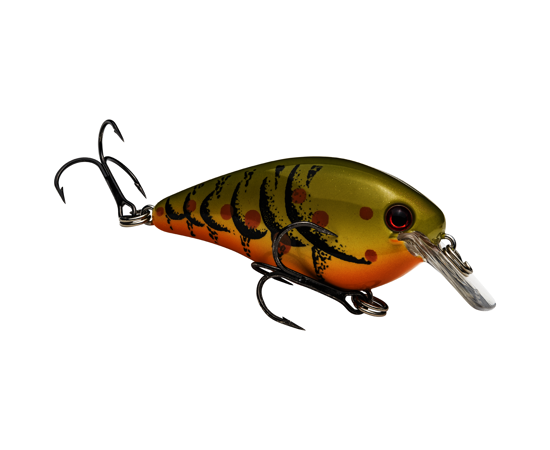 Strike King KVD Square 1.5 Green Pumpkin Craw