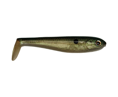 Strike King SHDLC5.5-568 Shadalicious Swimbait 5-1/2" Green