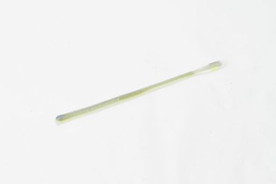 Zoom 131354 Z-3 Original Worm, 6" 10Pk,Sexy Shad