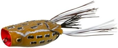 Zoom 143421 Poppin Frog  Brownie