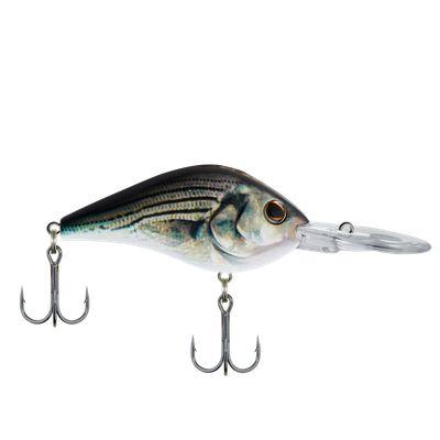 Berkley BHBDR25.5-HDWHB Dredger Body Shape and weighted Bill dives