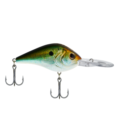 Berkley BHBDR10.5-HDTNS Dredger Body Shape and weighted Bill dives