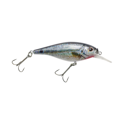 Berkley FFSH7S-HDSTS Flicker Shad Shallow, 7 Spottail Shiner